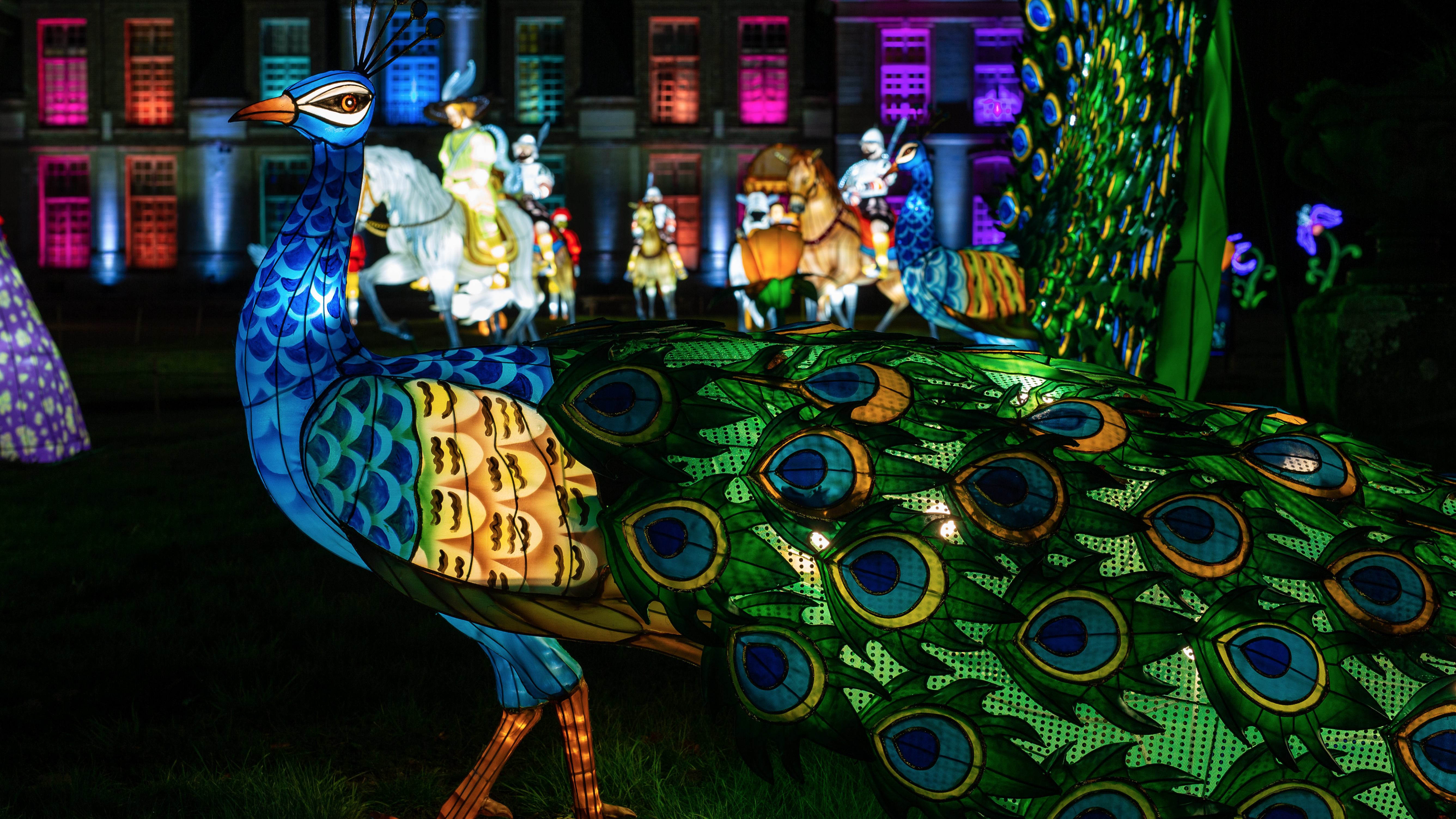 Partez à la découverte du Zoo Safari de Thoiry : les lumières sauvages